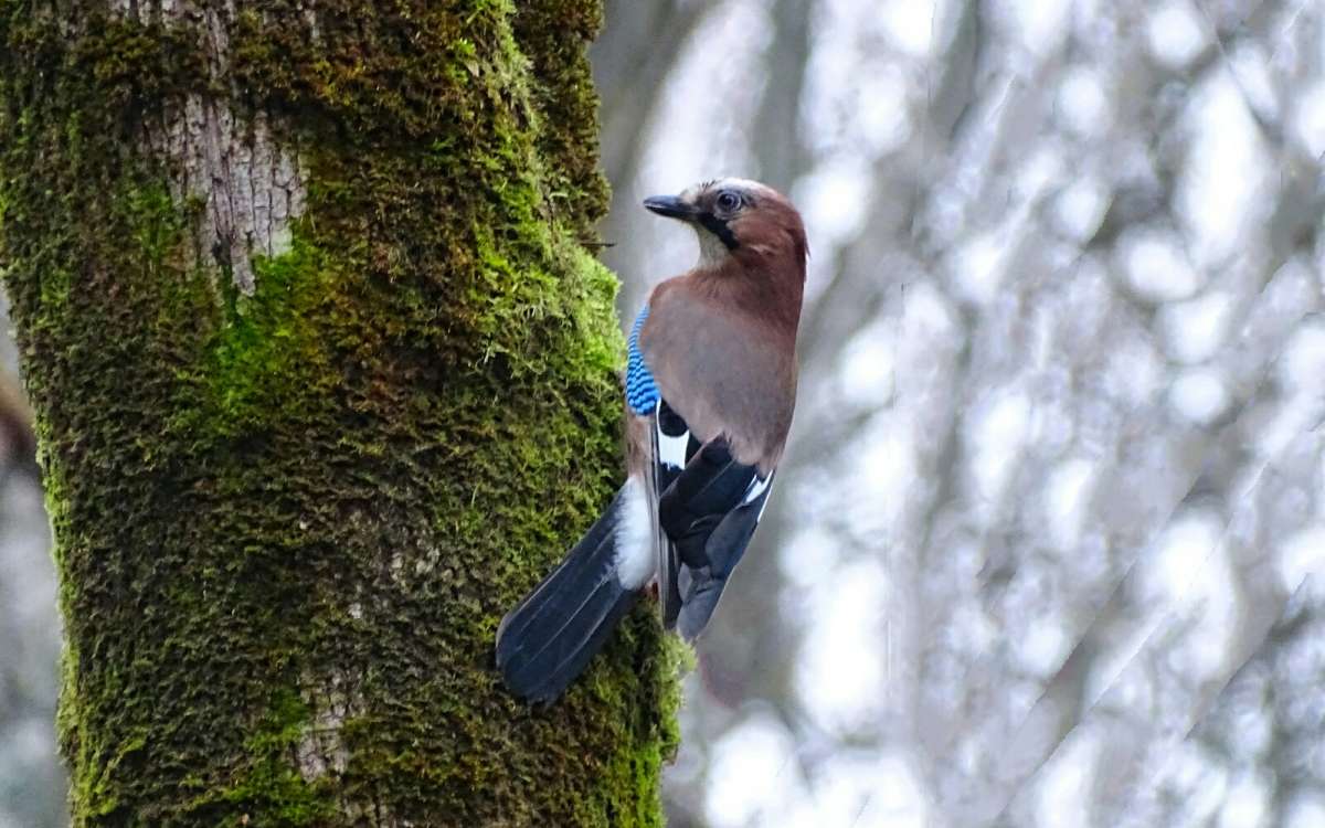 ����� ���������� �����. ����� �������� �������� �� PhotoGeek.ru #����� #�������� ���