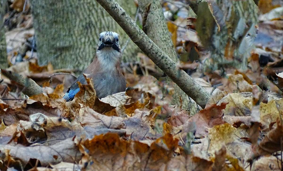 ����� ���������������. ����� �������� �������� �� PhotoGeek.ru #����� #�������� ���