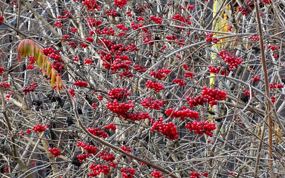 ������� ������ ������. ����� �������� �������� �� PhotoGeek.ru #������ ��� �������