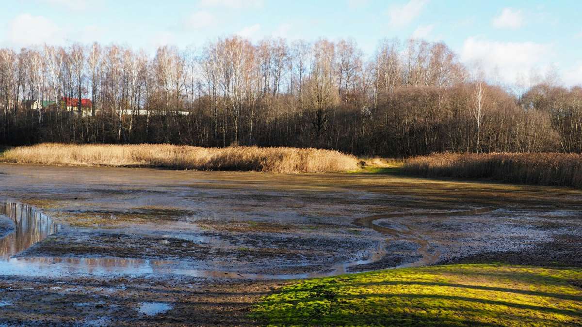 ���������� �����. ����� �������� �������� �� PhotoGeek.ru #������ ��� �������