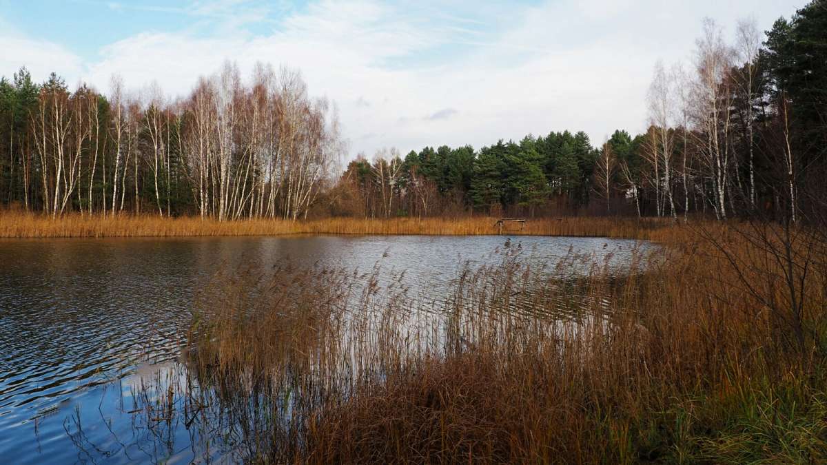 ���������� �����. ����� �������� �������� �� PhotoGeek.ru #������ ��� �������