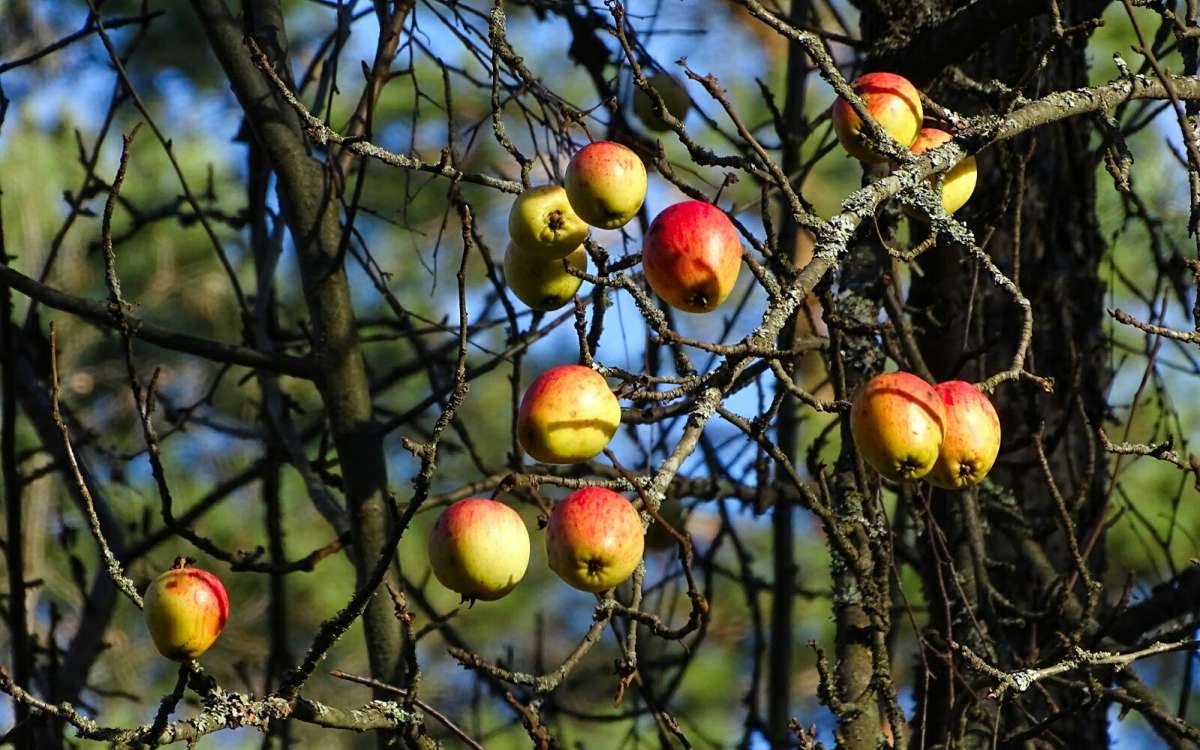 ������ ������. ����� �������� �������� �� PhotoGeek.ru #������ ��� �������