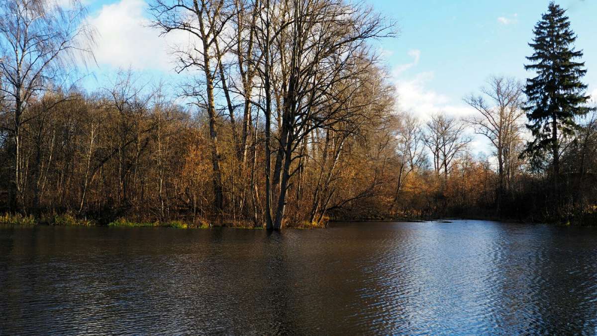 ������ �����. ����� �������� �������� �� PhotoGeek.ru #������ ��� �������