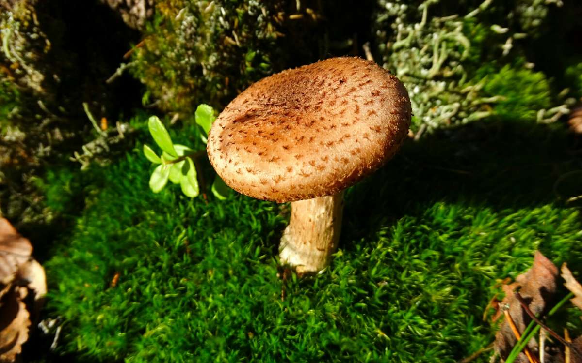 ������� �����. ����� �������� �������� �� PhotoGeek.ru #������ ��� �������