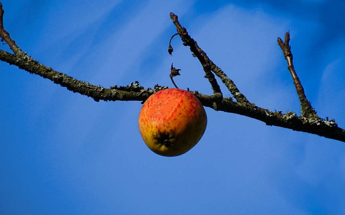 ������ ������. ����� �������� �������� �� PhotoGeek.ru #������ ��� �������