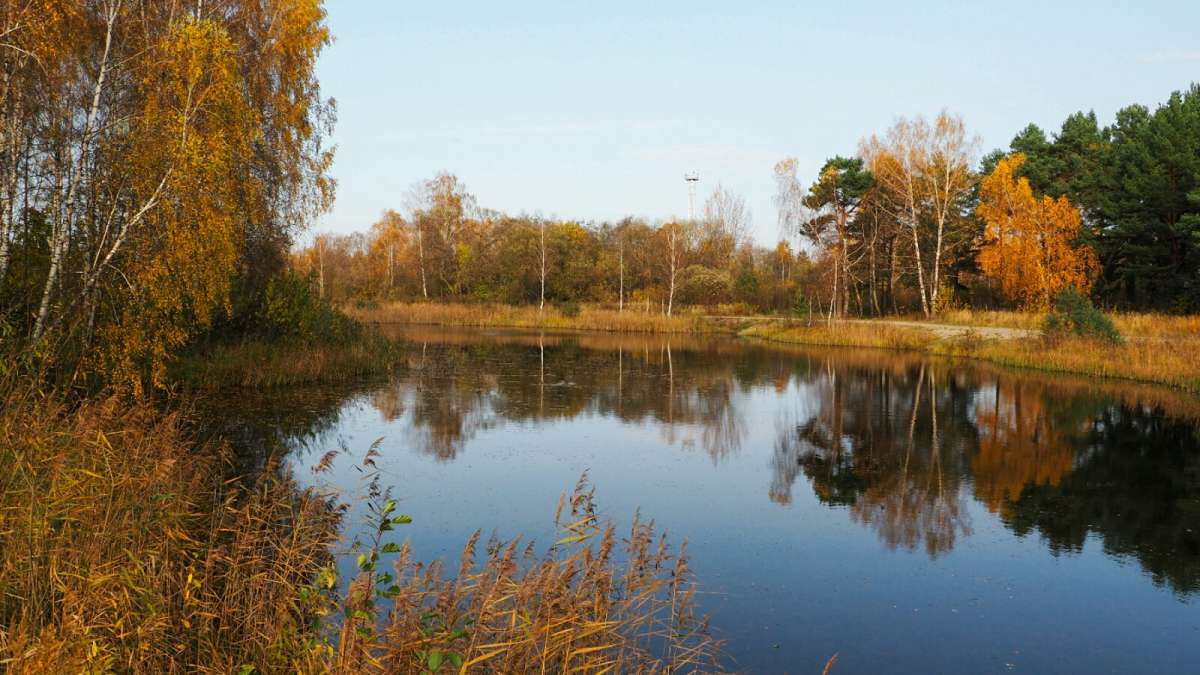 ������� ����� ����������. ����� �������� �������� �� PhotoGeek.ru #������ ��� �������