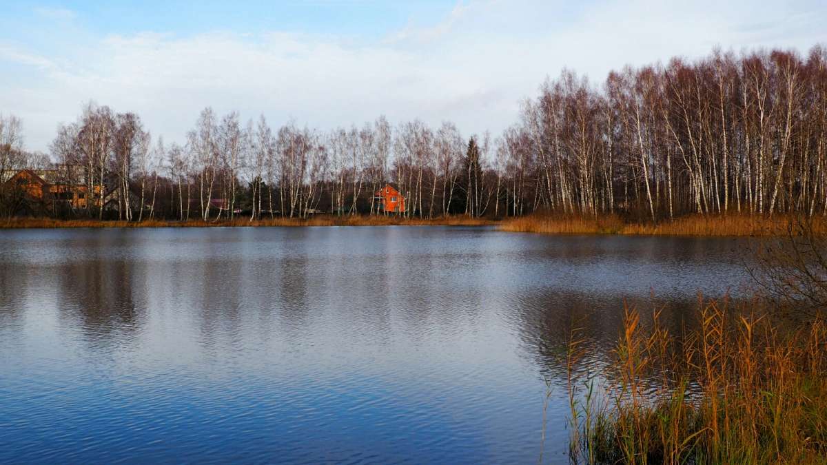 ���������� � ������. ����� �������� �������� �� PhotoGeek.ru #������ ��� �������