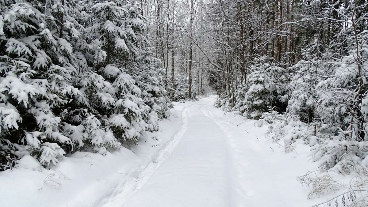 ���� ��������� � ������. ����� �������� �������� �� PhotoGeek.ru #������ ��� �������