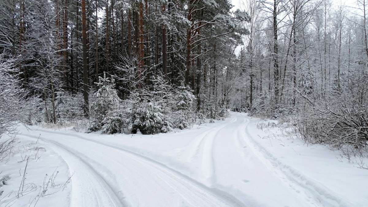 ��� ��� �� ������ �����. ����� �������� �������� �� PhotoGeek.ru #������ ��� �������