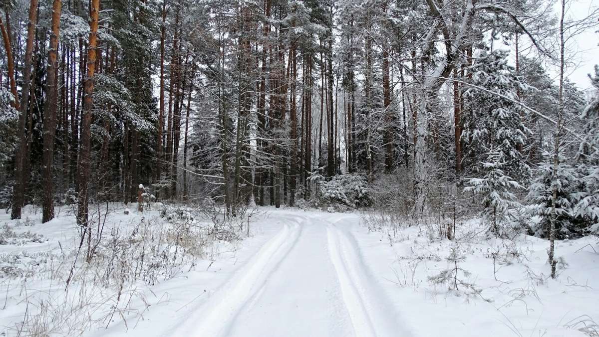 ������ ��� � ������. ����� �������� �������� �� PhotoGeek.ru #������ ��� �������