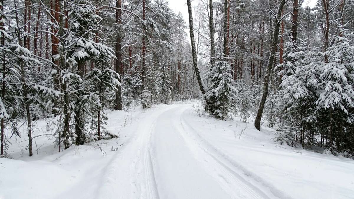 ������ ��� � ������. ����� �������� �������� �� PhotoGeek.ru #������ ��� �������