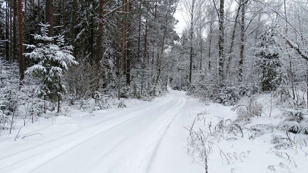 ������ ���. ����� �������� �������� �� PhotoGeek.ru #������ ��� �������