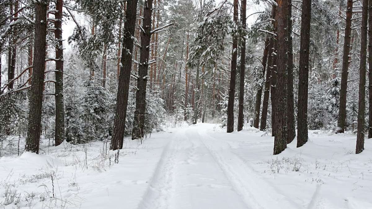 ���� � ������. ����� �������� �������� �� PhotoGeek.ru #������ ��� �������