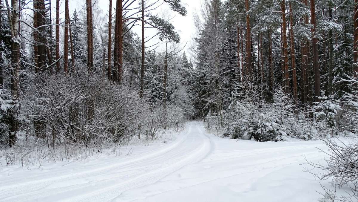 � ���������� ����. ����� �������� �������� �� PhotoGeek.ru #������ ��� �������