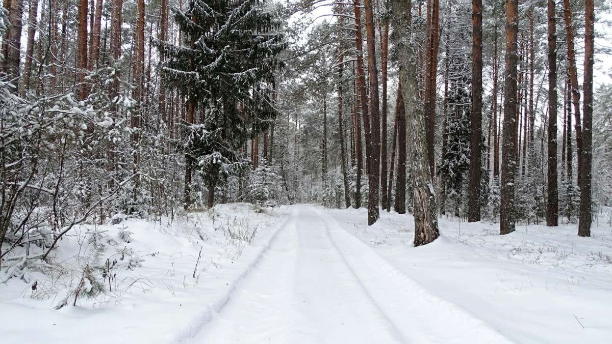 ��� � ������. ����� �������� �������� �� PhotoGeek.ru #������ ��� �������