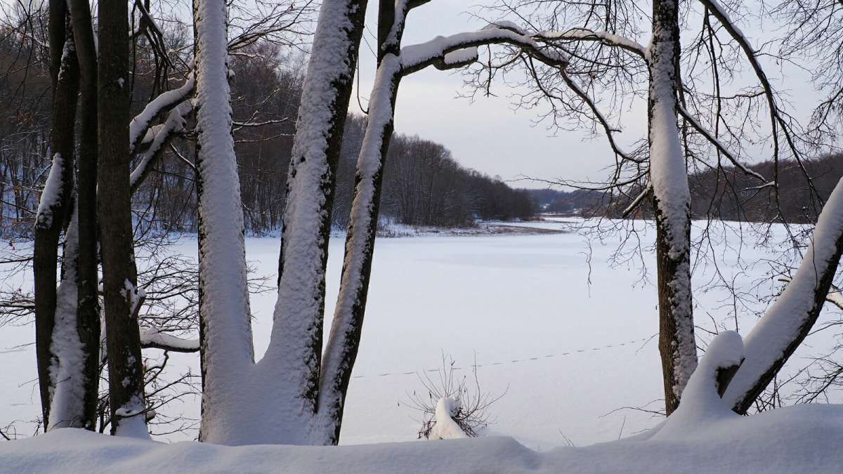 ������ ���� �� ����������. ����� �������� �������� �� PhotoGeek.ru #������ ��� �������