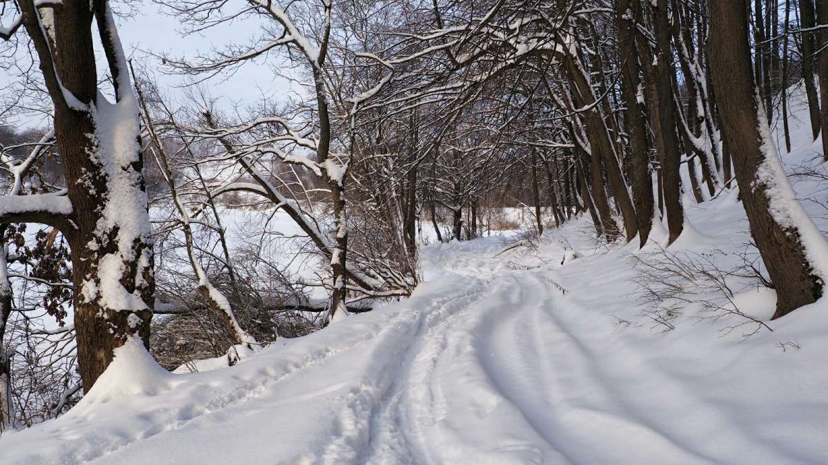 �� ������ �� ��������, ������ ������! ����� �������� �������� �� PhotoGeek.ru #������ ��� �������