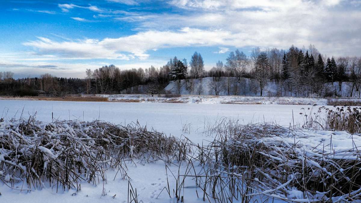 ������ ���� ���� �� ����������. ����� �������� �������� �� PhotoGeek.ru #������ ��� �������