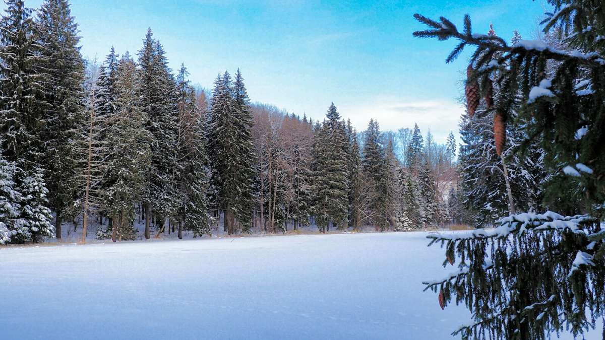 �������� ����. ����� �������� �������� �� PhotoGeek.ru #������ ��� �������