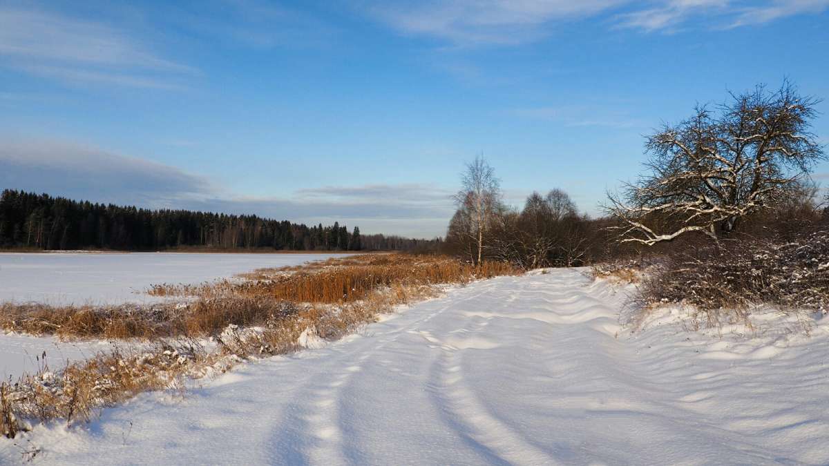 Зима пришла на Смоленщину по календарю. автор Владимир Милешкин на PhotoGeek.ru #Пейзаж или природа