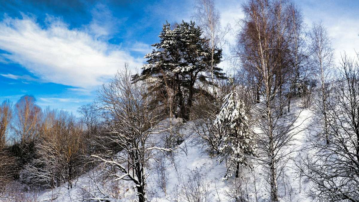 �������� ����� �� �����. ����� �������� �������� �� PhotoGeek.ru #������ ��� �������