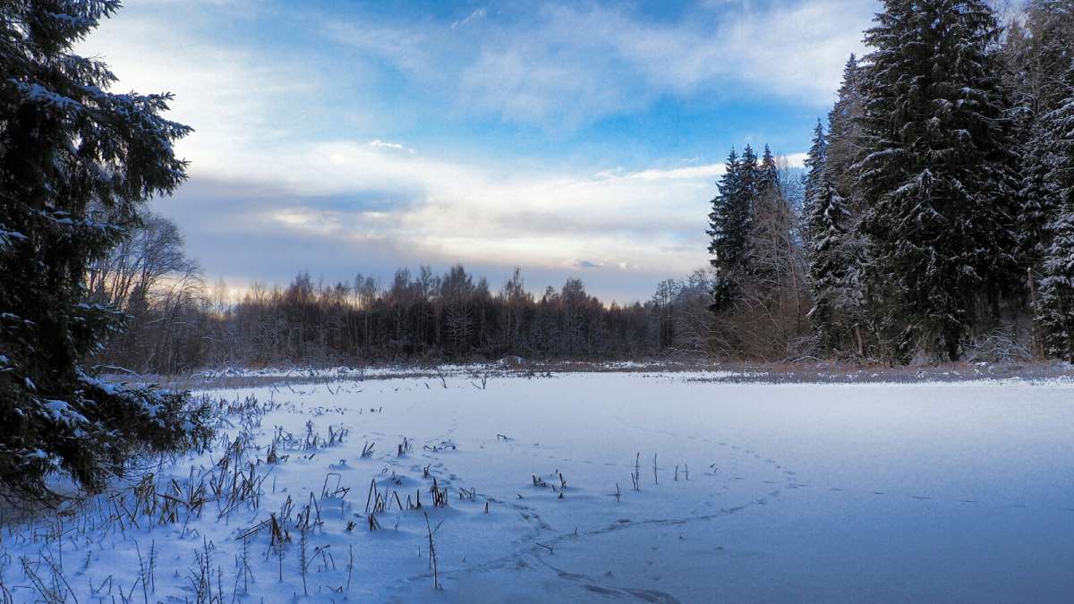 ������ ������. ����� �������� �������� �� PhotoGeek.ru #������ ��� �������