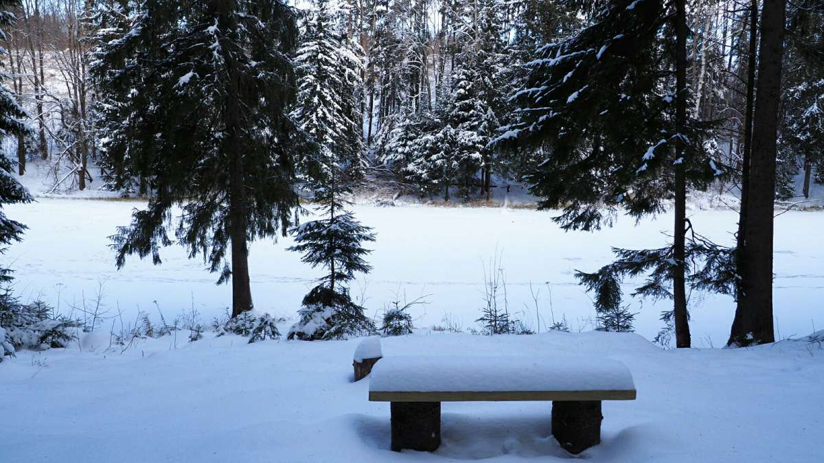 ���������� ����. ����� �������� �������� �� PhotoGeek.ru #������ ��� �������