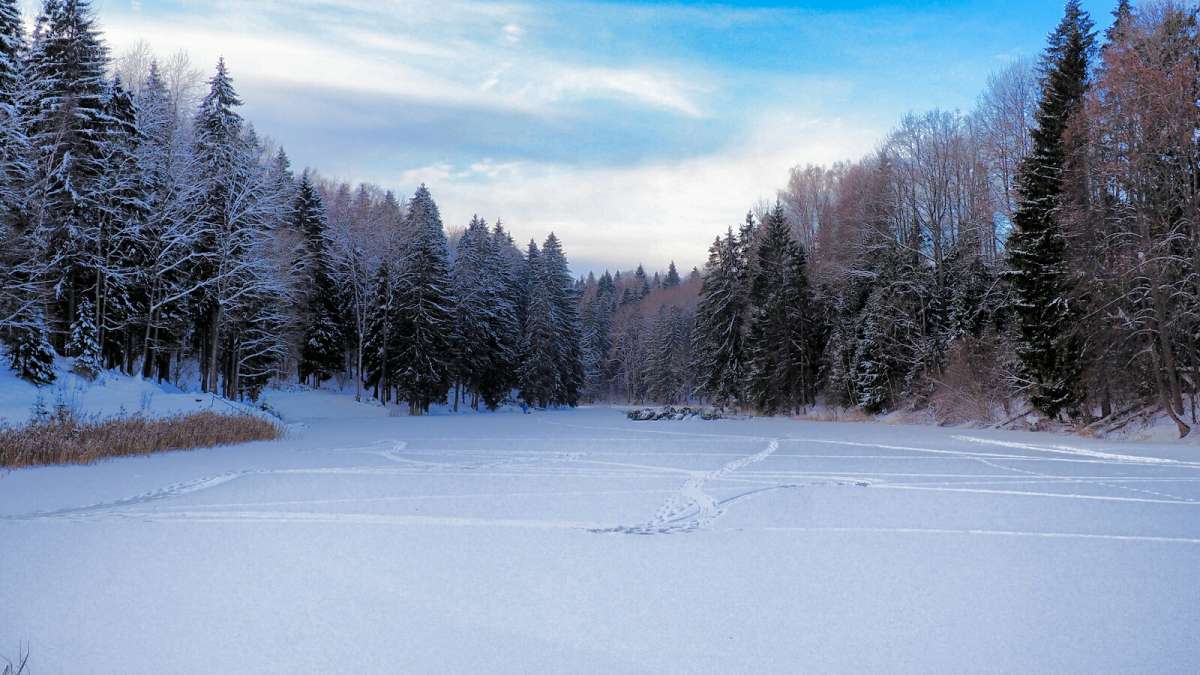 ������ ���� �� ����������. ����� �������� �������� �� PhotoGeek.ru #������ ��� �������