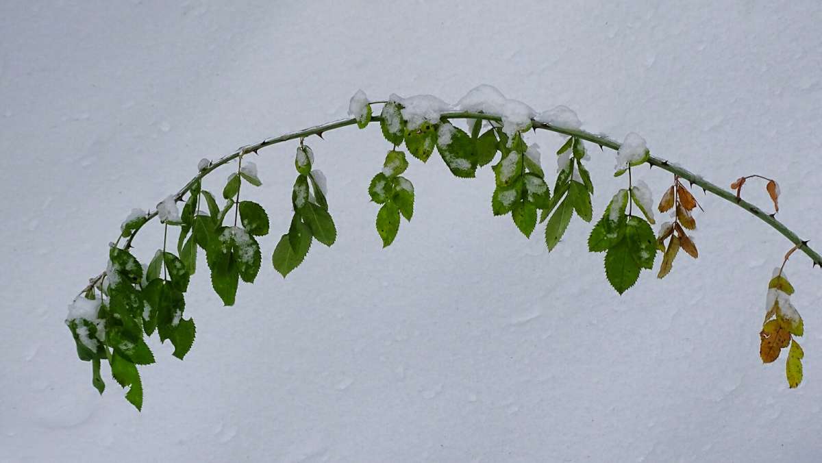 ��������� �������� � �������. ����� �������� �������� �� PhotoGeek.ru #������ ��� �������