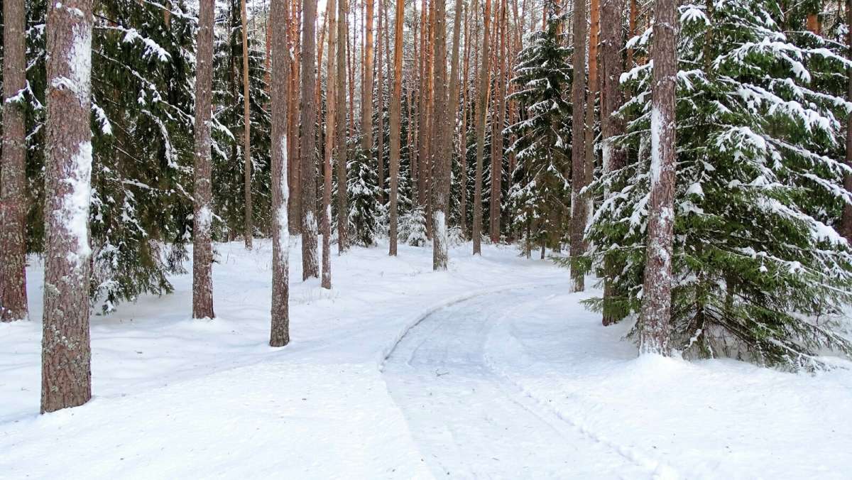 ���� � ������� ����. ����� �������� �������� �� PhotoGeek.ru #������ ��� �������