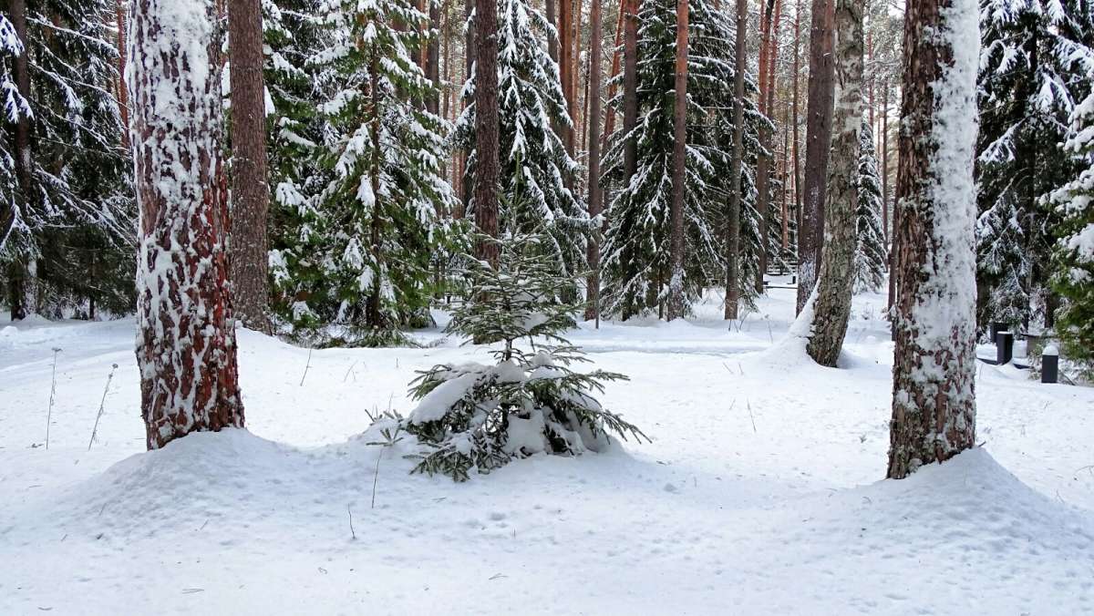 ���� ��� ����� - �� ����! ����� �������� �������� �� PhotoGeek.ru #������ ��� �������