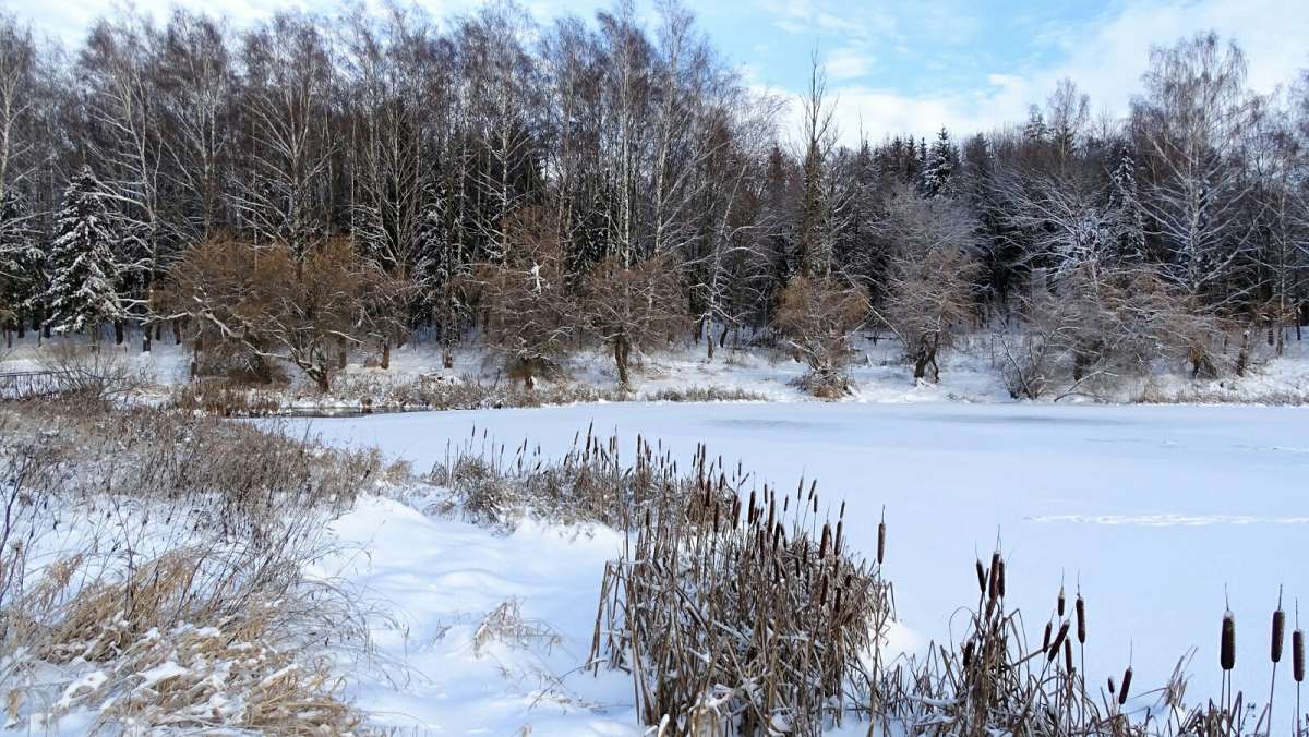 Моя Смоленщина зимой. автор Владимир Милешкин на PhotoGeek.ru #Пейзаж или природа