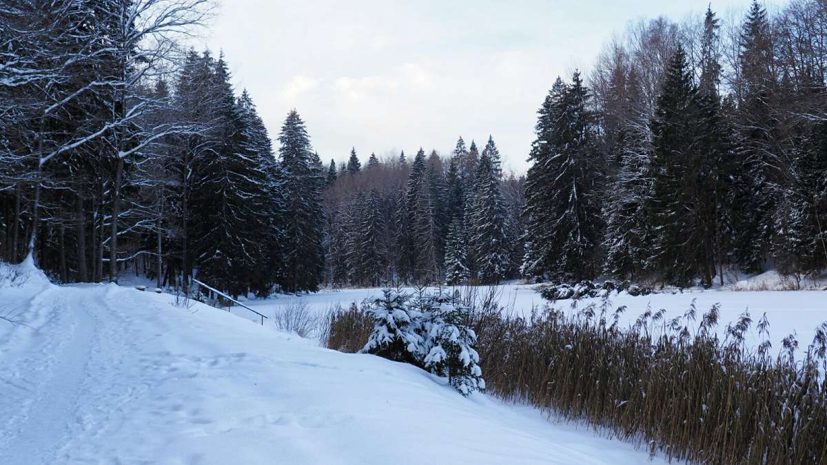 ��� ������ ���� ���� 2022. ����� �������� �������� �� PhotoGeek.ru #������ ��� �������