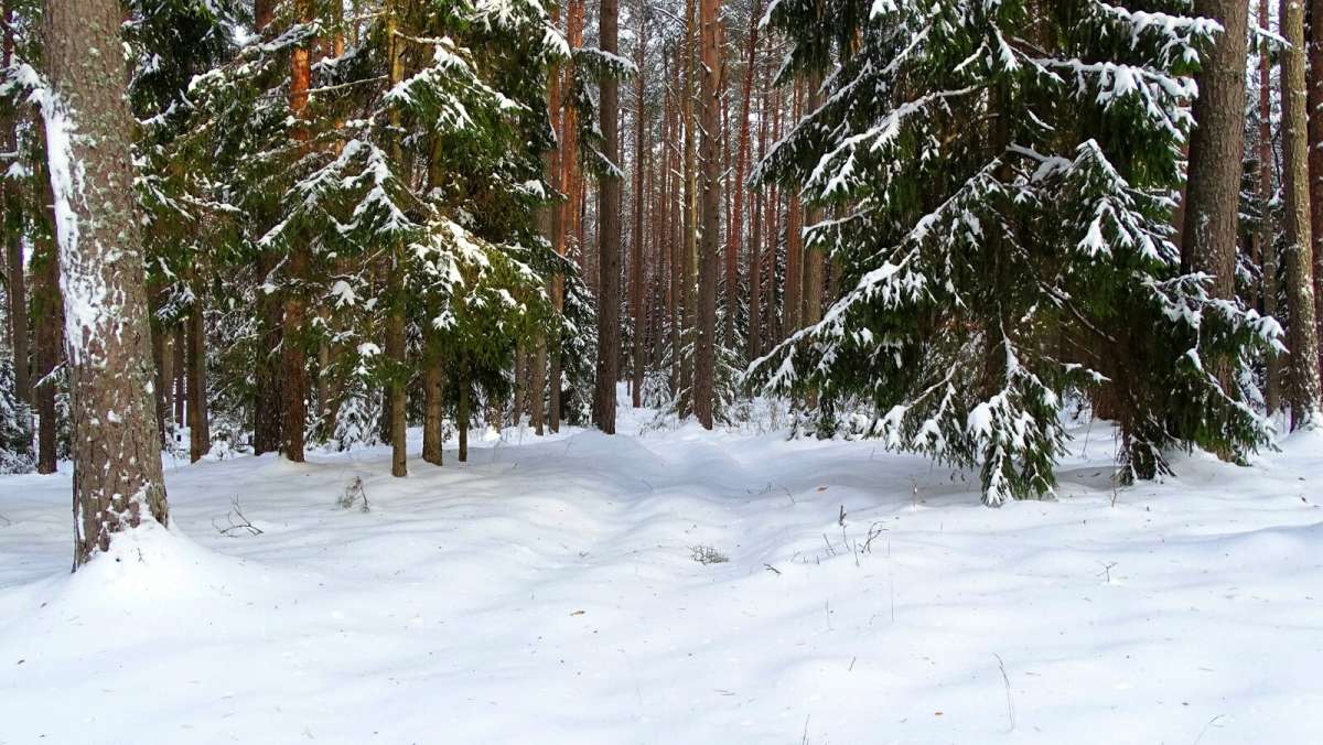 �� ����������� ������ � ���. ����� �������� �������� �� PhotoGeek.ru #������ ��� �������