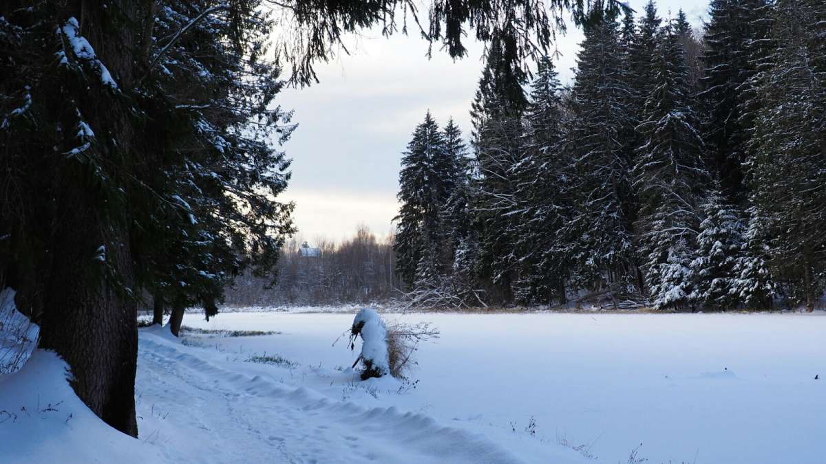 "��������" �� �������� �����. ����� �������� �������� �� PhotoGeek.ru #������ ��� �������