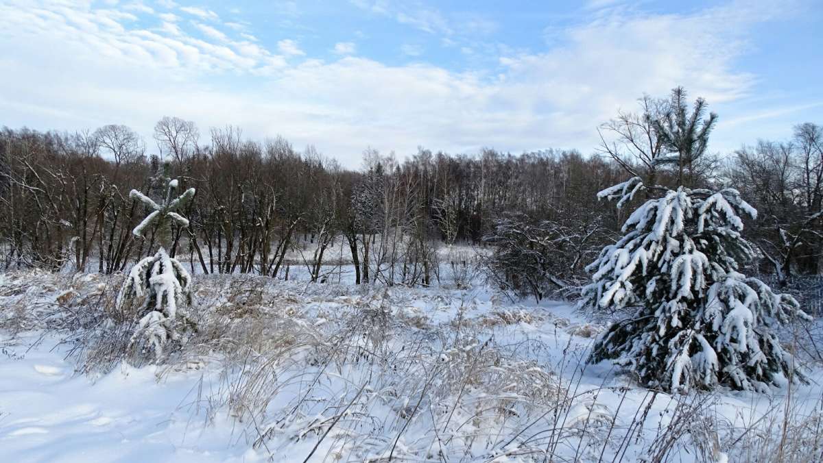 ��� ����. ����� �������� �������� �� PhotoGeek.ru #������ ��� �������