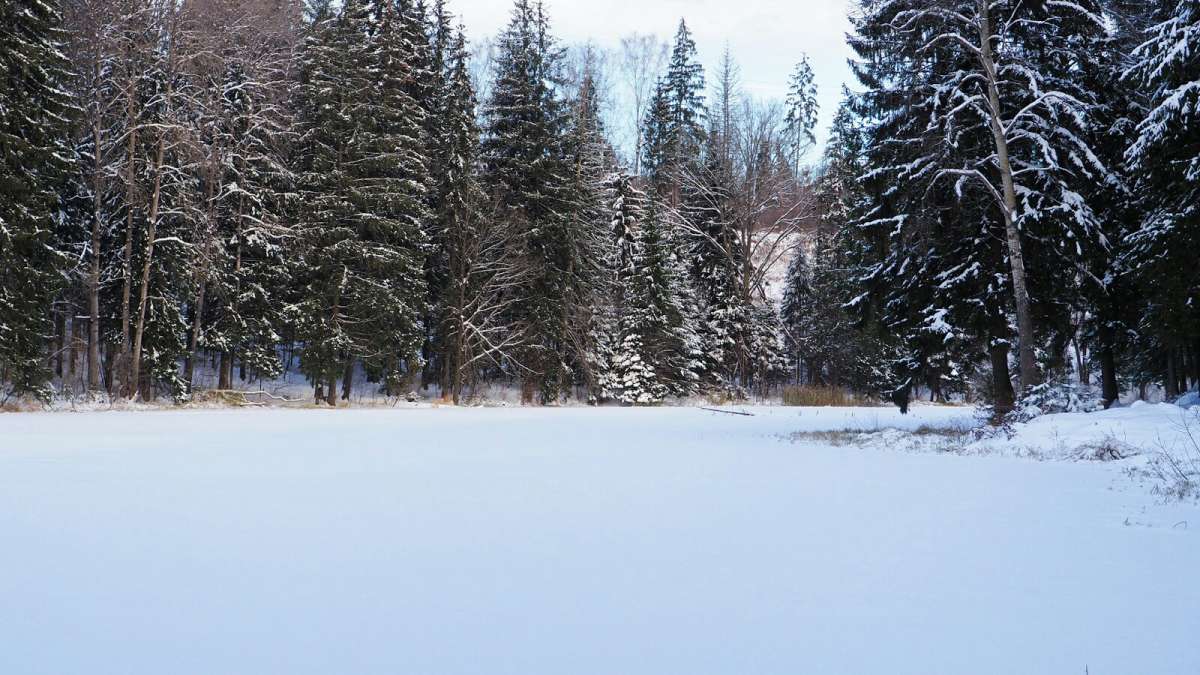 ����. ����� �������� �������� �� PhotoGeek.ru #������ ��� �������