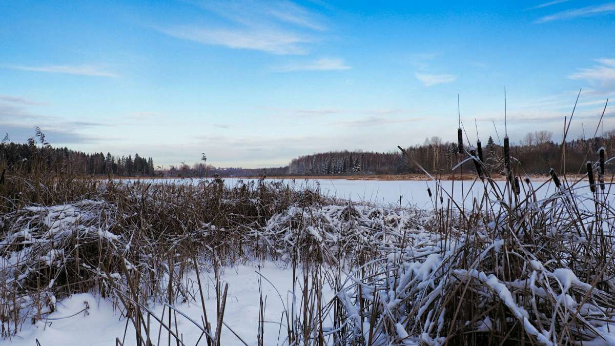 �������� ����. ����� �������� �������� �� PhotoGeek.ru #������ ��� �������