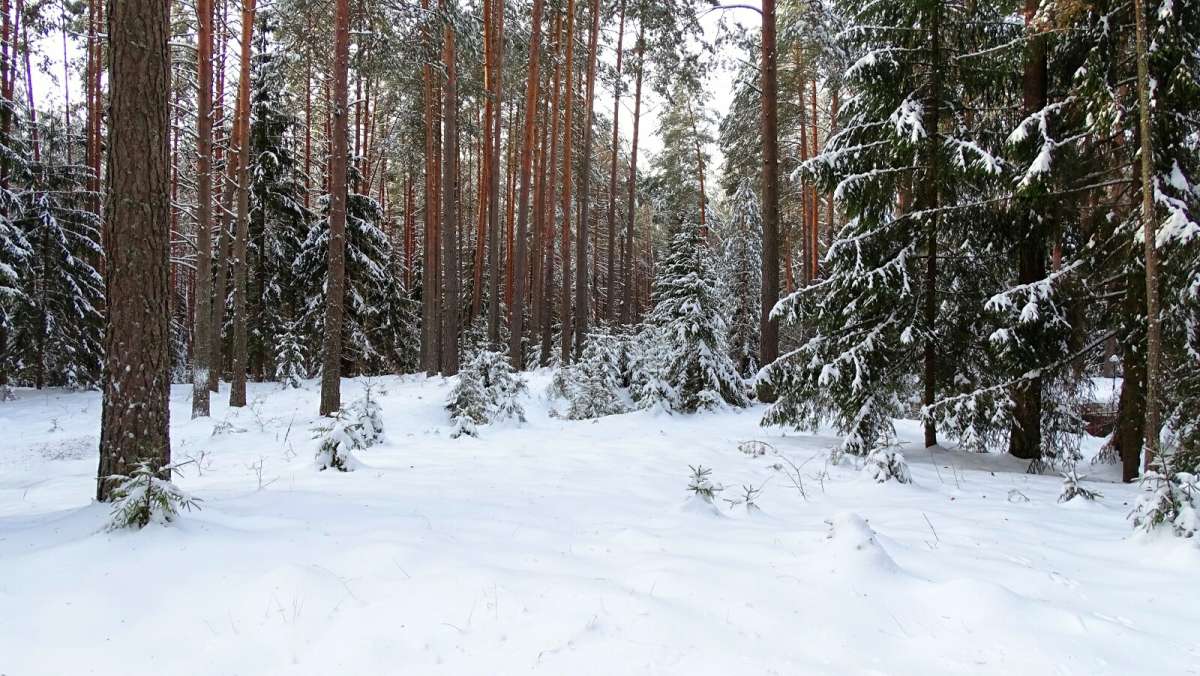 � ������ ����. ����� �������� �������� �� PhotoGeek.ru #������ ��� �������