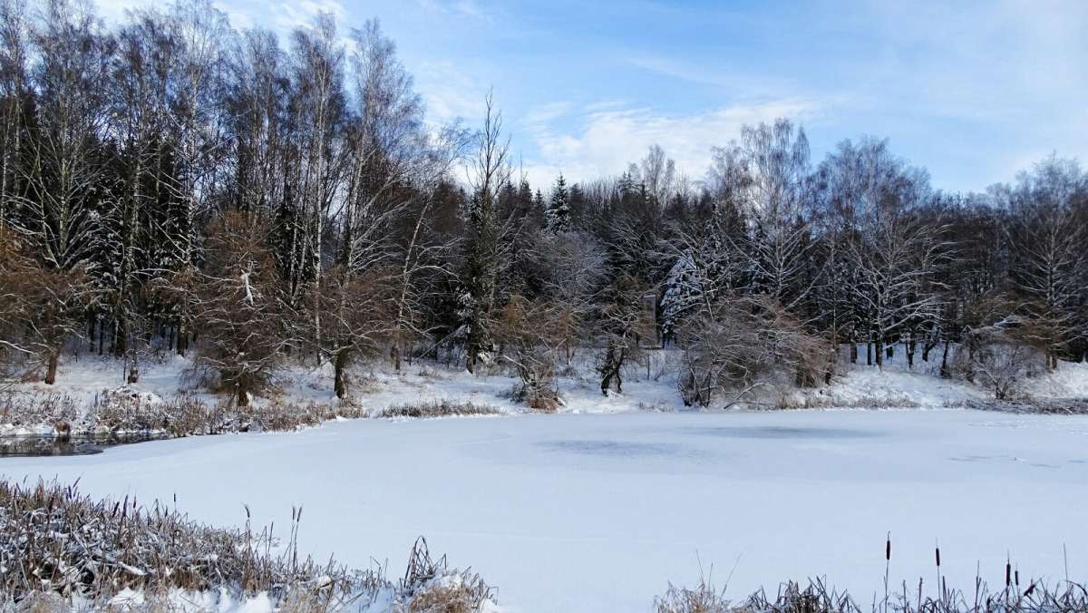 ������ ������ �������. ����� �������� �������� �� PhotoGeek.ru #������ ��� �������