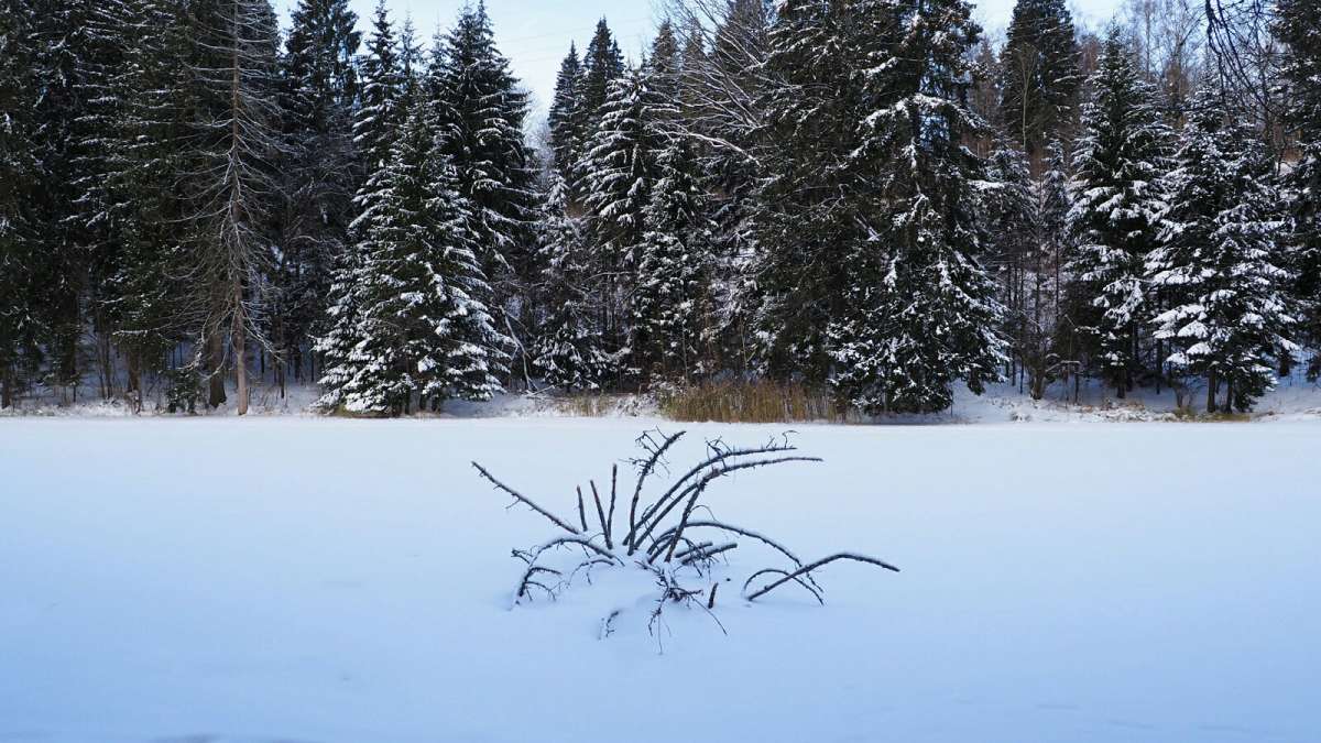 "�������������" �� ������ ����. ����� �������� �������� �� PhotoGeek.ru #������ ��� �������