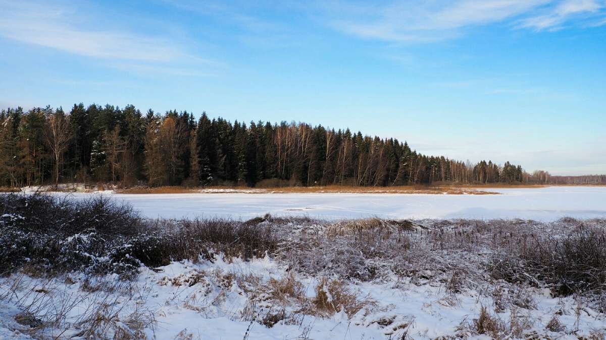 ��� ����������. ����� �������� �������� �� PhotoGeek.ru #������ ��� �������