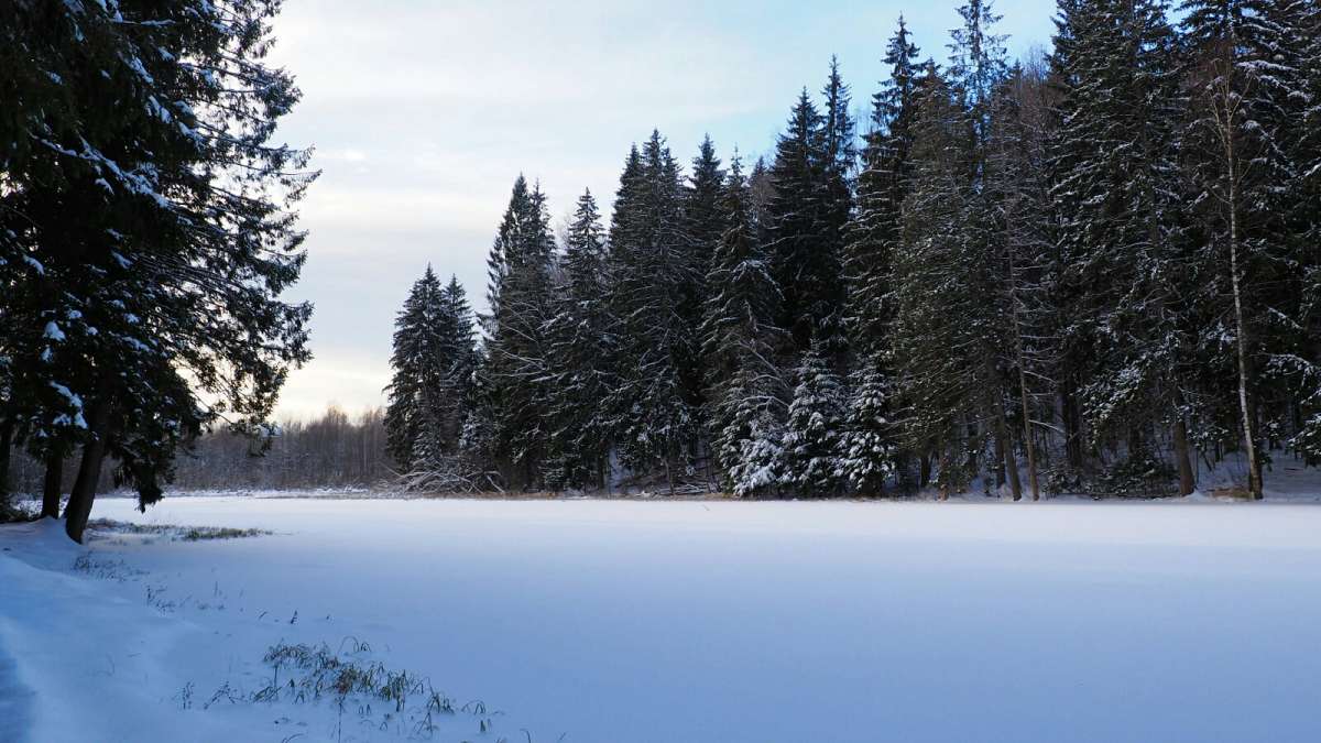 ����. ����� �������� �������� �� PhotoGeek.ru #������ ��� �������