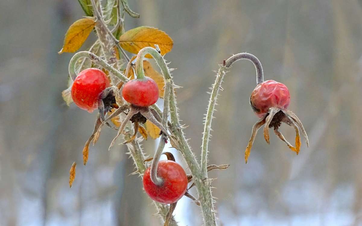 �������������� �����. ����� �������� �������� �� PhotoGeek.ru #������ ��� �������