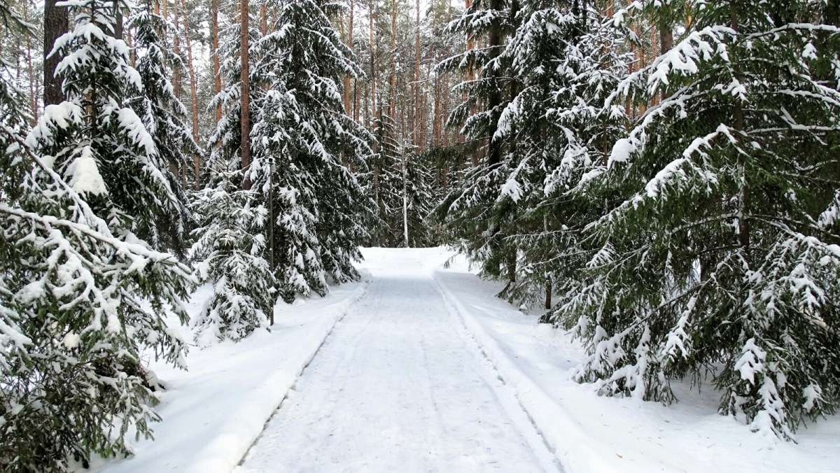 ������ ���. ����� �������� �������� �� PhotoGeek.ru #������ ��� �������