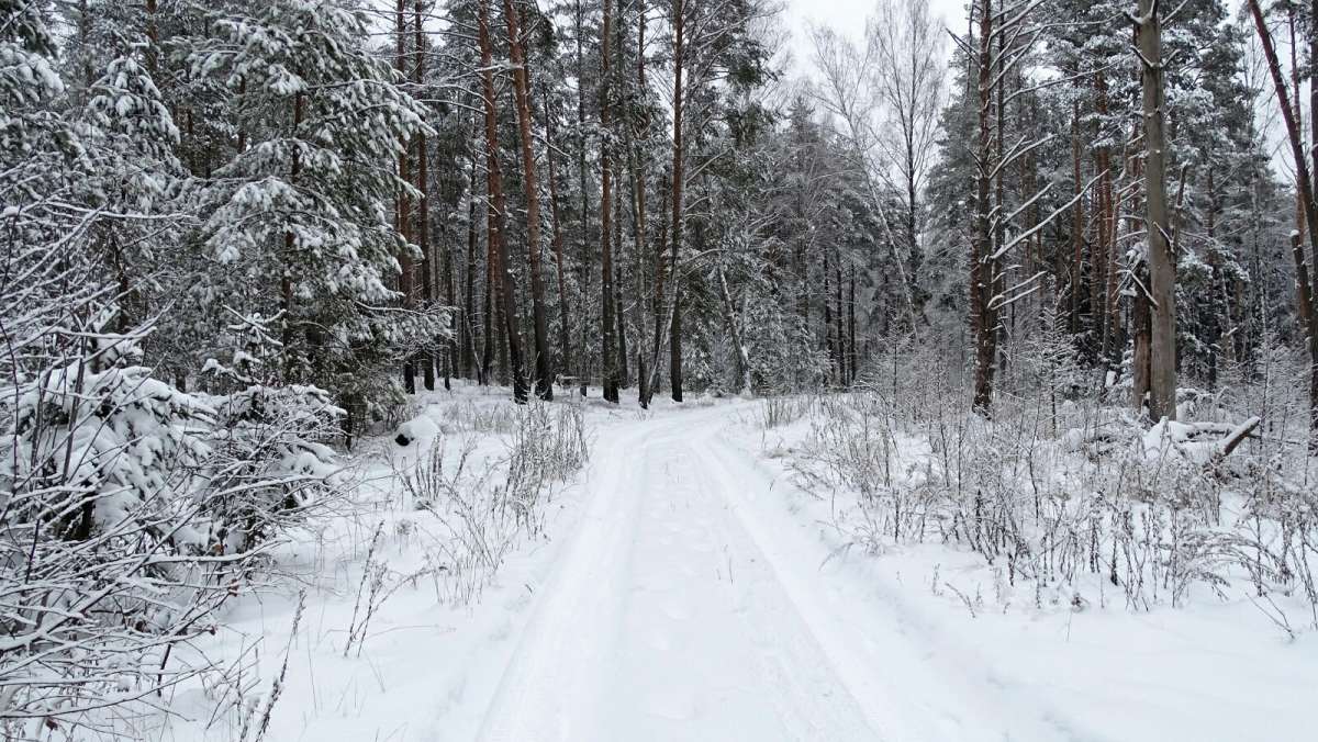 ���������� ���. ����� �������� �������� �� PhotoGeek.ru #������ ��� �������