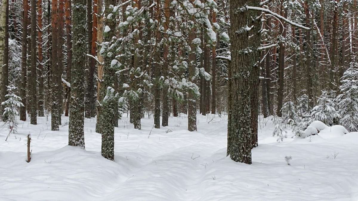 �������� ��� �� ������ �����. ����� �������� �������� �� PhotoGeek.ru #������ ��� �������