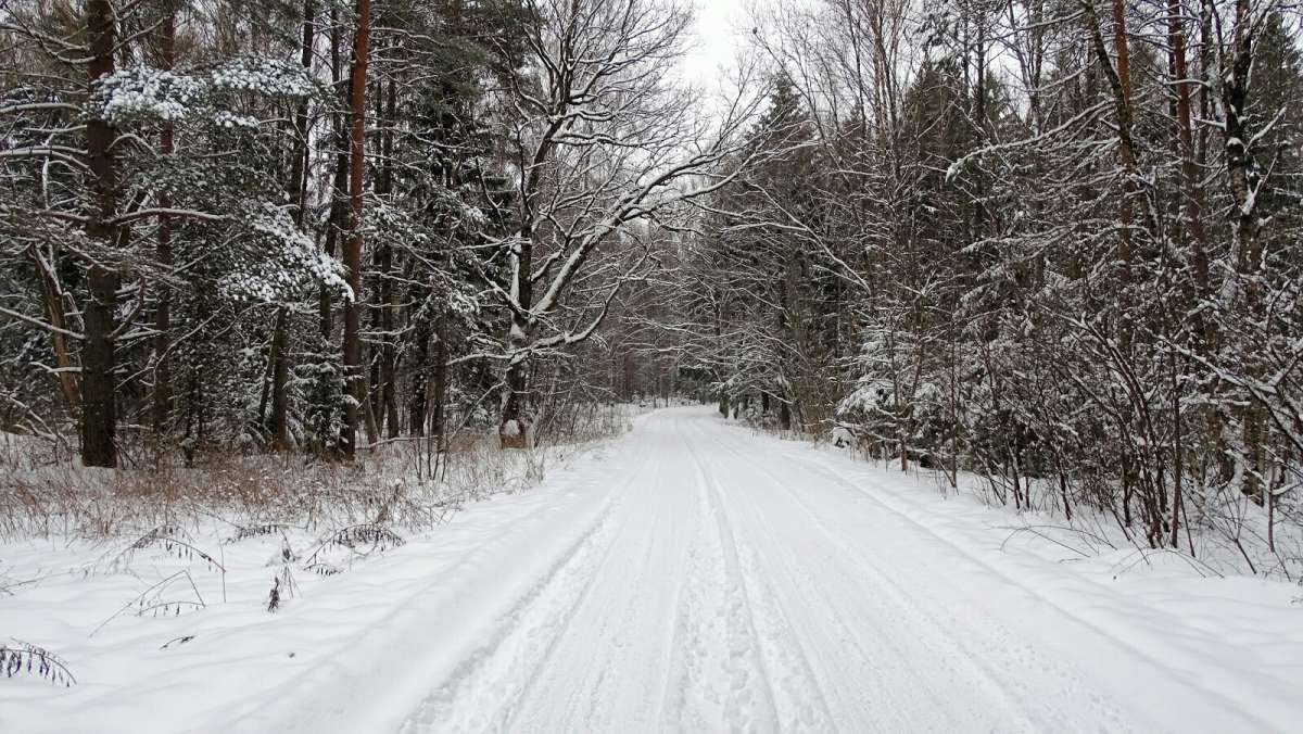 ��� ����������. ����� �������� �������� �� PhotoGeek.ru #������ ��� �������