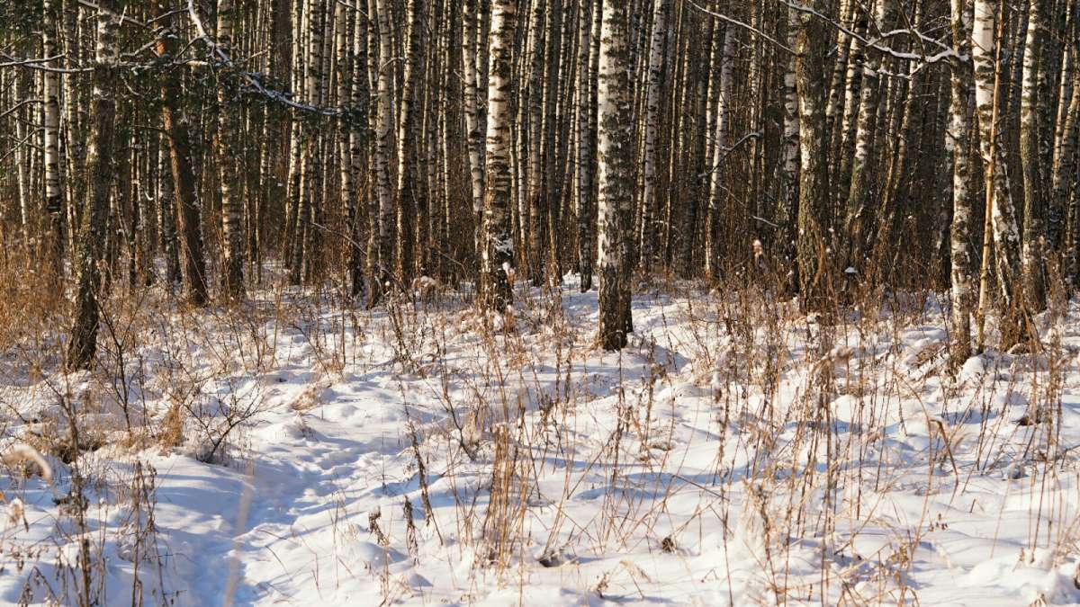 �������� ����. ����� �������� �������� �� PhotoGeek.ru #������ ��� �������