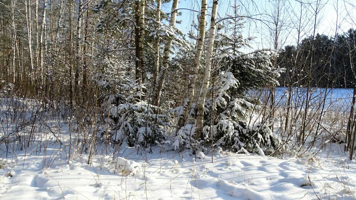 �������� ������ ������. ����� �������� �������� �� PhotoGeek.ru #������ ��� �������